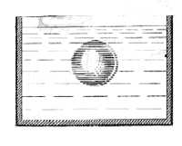 Fig. 56. El aceite que se encuentra en esta vasija llena de alcohol diluido se agrupa formando una esfera, la cual, ni se hunde ni sube a la superficie (experimento de Plateau).