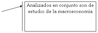 Llamada con línea 2 (borde y barra de énfasis): Analizados en conjunto son de estudio de la macroeconomía